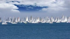 Regatta Sailing boat race