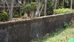 Renovated wall , fort Kochi, India, Kerala