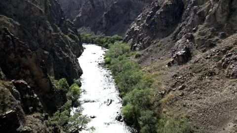 099 Video stock 246091396