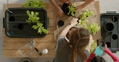 young group of multi ethnic girls growing plants using sustainable green