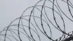 Barbed Razor Wire Fence Prison Jail