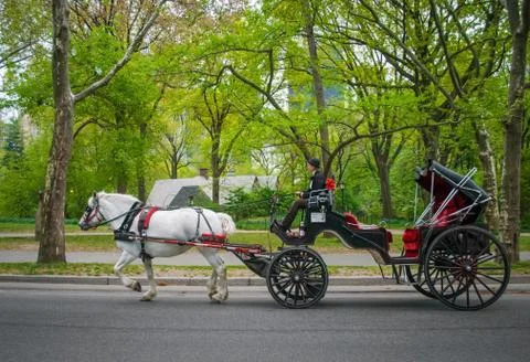 NEW YORK - APRIL 18 : A horse and buggy carriage with coachman in Central Park on April 18 2012 in New York City. The carriage rides are in danger of being banned for animal safety issues. xkwx Manhattan, NY, NYC, New York, buggy, carriage, central park, city, coach, coachman, horse, man, street, urban