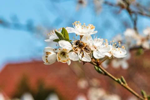 0D2A9802 Stock Photos