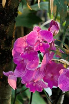 0E2A5968 Stock Photos