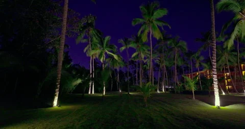 0P9A5877 Night view of palm tree garden of resort with beach bungalows villas Stock Footage 262432517