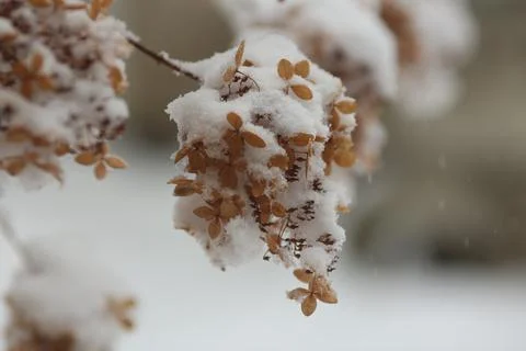 0T7A0010 Stock Photos