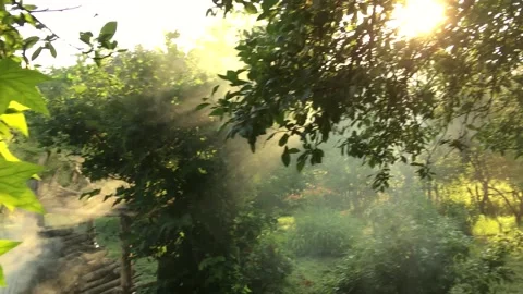 0Z LMXA2540 5 動画素材 166863539