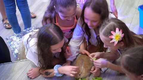 0Z Part 11 Stock Footage 107142450