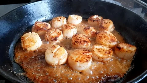 0Z Scallops Stock Footage 128528914
