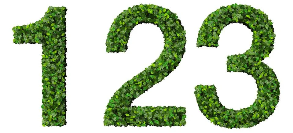 1 2 3 digits made from green leaves isolated on white background. Illustrazione stock