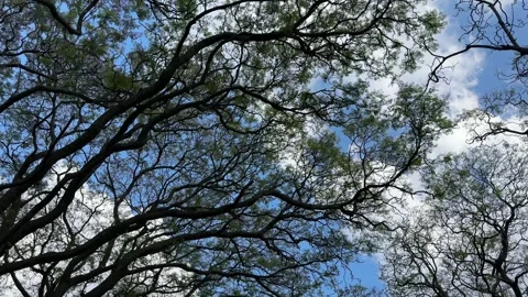 1 24 Stock Footage 323096555