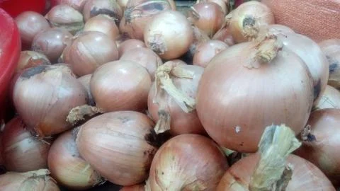 1 (70) 스톡 사진