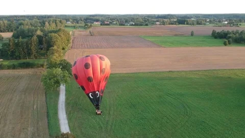1 baloon ladybug Video stock 216776556