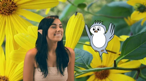 1 elf animated bird 2 Video stock 39935313