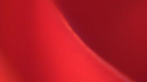 1 - Flowers Stock-Footage 105304