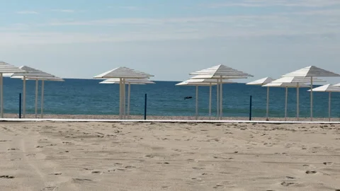 ???? ????? 1 Stock Footage 310839694