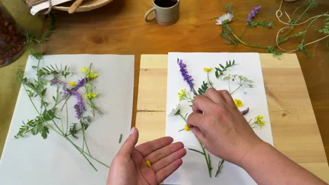 ???? ????? 1 Stock Footage 311754246