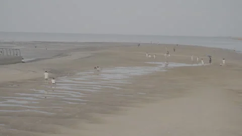 沙滩上的人1 Stock Footage 336394933