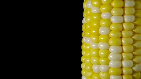 1.	Fresh corn on a black background. Peeled corn cob 動画素材 163703096