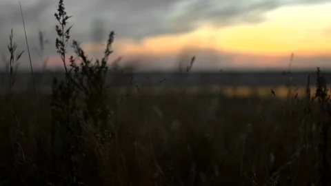 1 guy with bat in hand go. Man hit through air 4k. Maniac carries stick in hand. Stock Footage 72636411