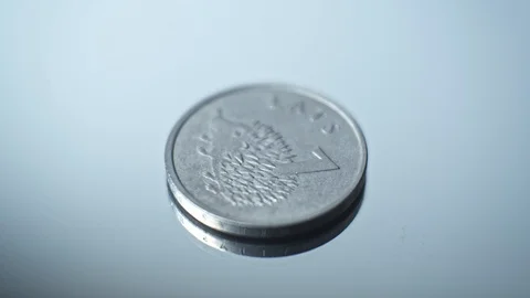 1 lats 2012 - Hedgehog Closeup Coin of the Latvian republic Stock Footage 125865880