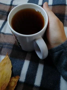 1 Mug in hand. 스톡 사진