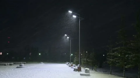 1 Night park blizzard in the light of lanterns Stock Footage 164637890