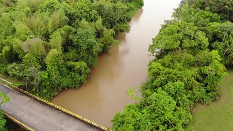 1 PLAMAS Stock Footage 136203832