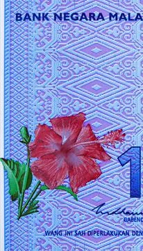 1 Ringgit banknote, Bank of Malaysia, closeup bill fragment shows hibiscus Stock Photos