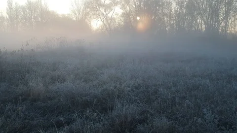 1 span over a frozen field. last morning of autumn Stock Footage 115690134
