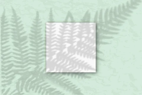 1 square sheet of white textured paper against a gray-green wall. Mockup with an Stock Illustration