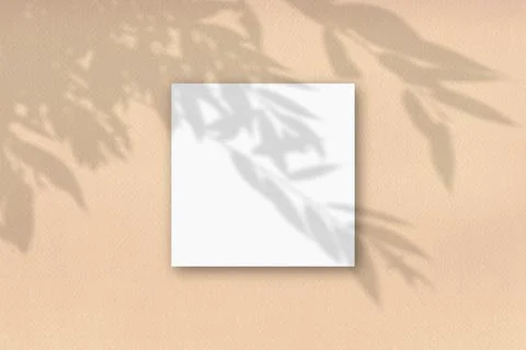 1 square sheet of white textured paper against a beige wall. Mockup overlay with Stock Illustration