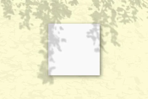 1 square sheet of white textured paper against a yellow wall. Mockup overlay Stock Illustration