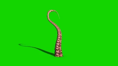 1 Tentacle Monster Octopus Attack Green Screen 3D Rendering Animation Stock Footage