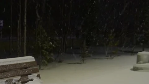 1 Winter night park bench Stock Footage 164603248