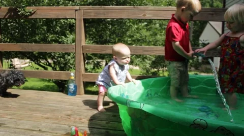 1 year old snuffs and stands by pool Stock Footage 40029075