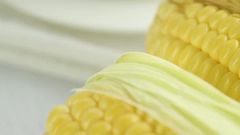 10-09-62-007 Stock Footage 116655008