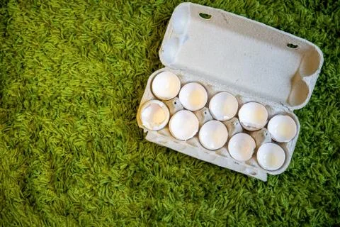 10 broken empty egg shells lie in a box on artificial grass. top view, close-up Stock Photos