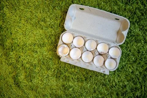 10 broken empty egg shells lie in a box on artificial grass. top view, close-up Stock Photos