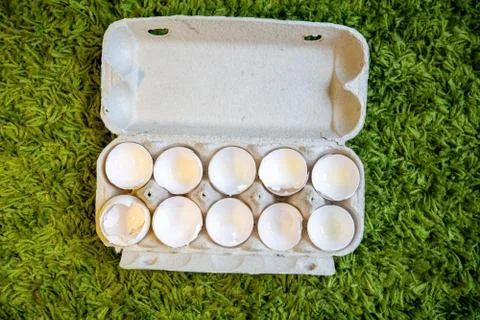 10 broken empty egg shells lie in a box on artificial grass. top view, close-up Stock Photos