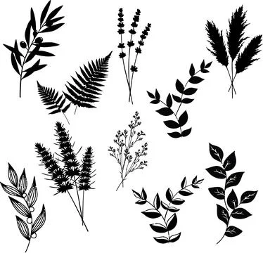 10 Elegant Botanical Silhouette Vector Set for Premium Design Projects Stock Illustration
