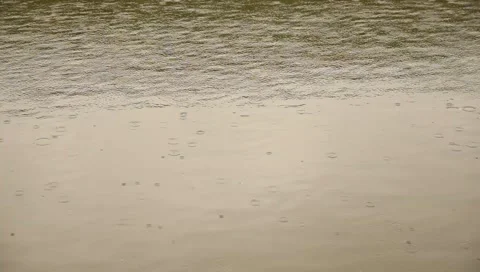 10 raindrops on water Video stock 3880130