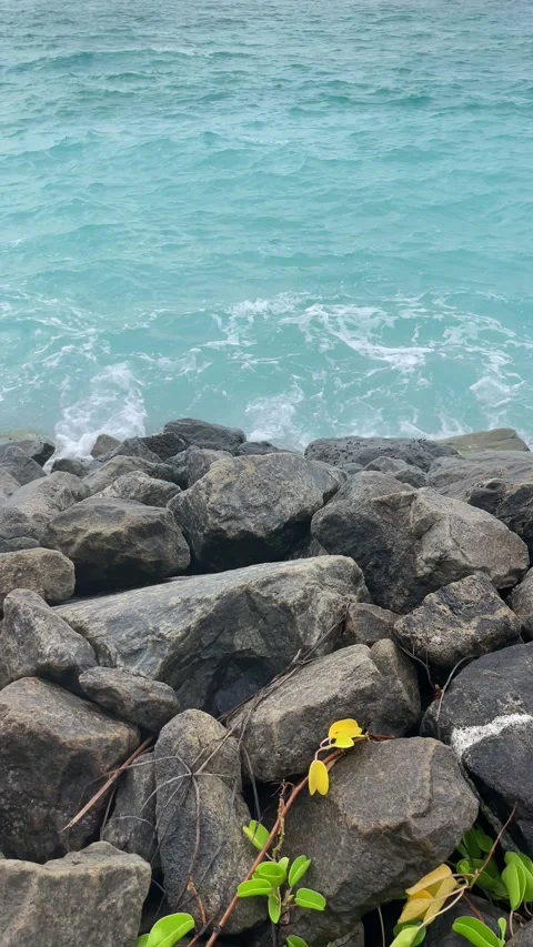 10 Rocks, ocean, waves, cyan Stock Footage 200876305