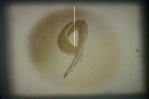 10 Second Rustic 8mm Countdown Title 動画素材 564342