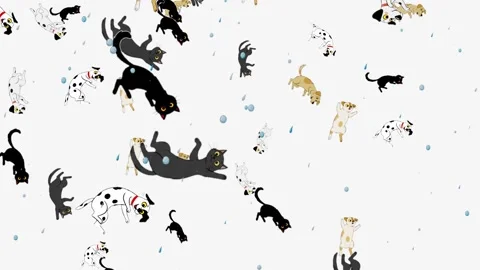 10 seconds raining cats and dogs HD video Stock Footage 319473778