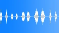 10 sounds - space doors Sound Effect