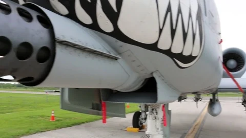 A 10 WARTHOG park close Video stock 74598179