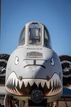A-10 Warthog Foto stock
