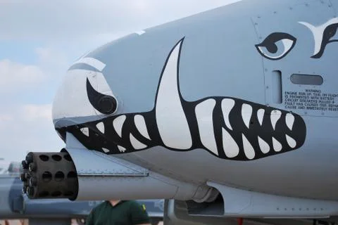 A-10 Warthog Thunderbolt Stock Photos