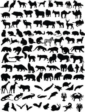 100 animals Stock Illustration